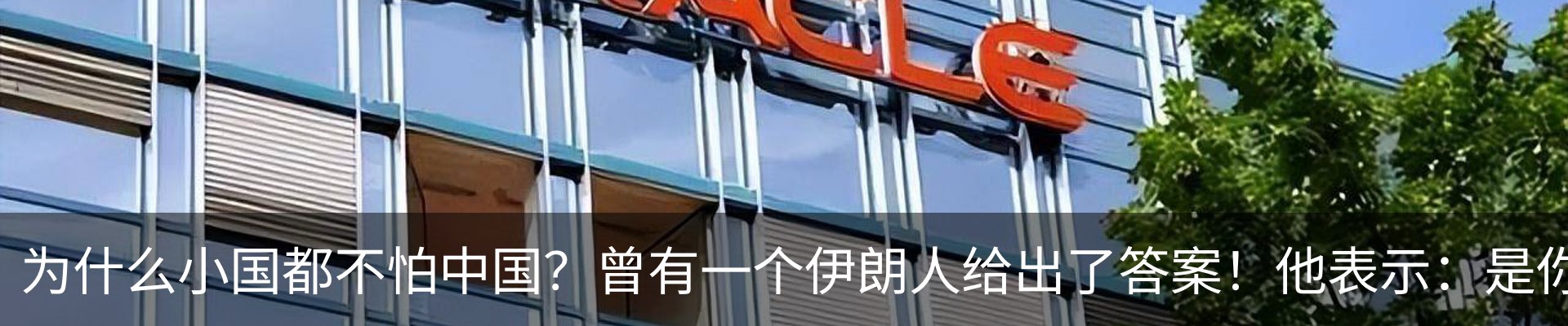 最新动态