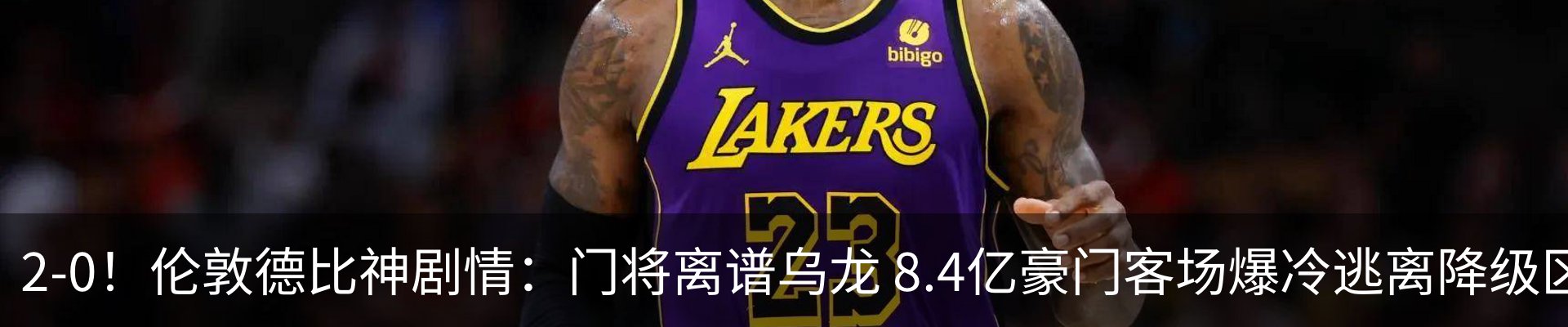最新动态